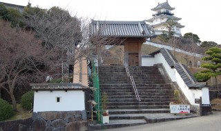 kakegawajyo-dobeiyane2