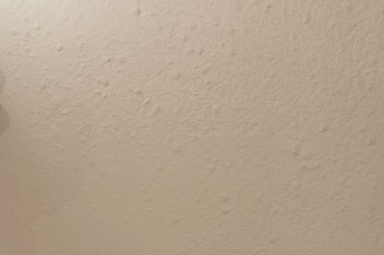 IMG_0024のコピー