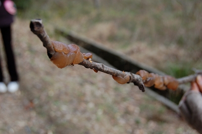 DSC_0092.jpg
