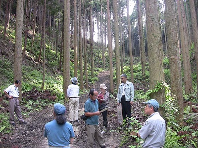 IMG_0856.jpg