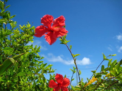 IMG_2484_1.JPG