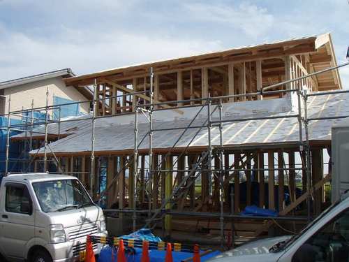 PA034239.jpg